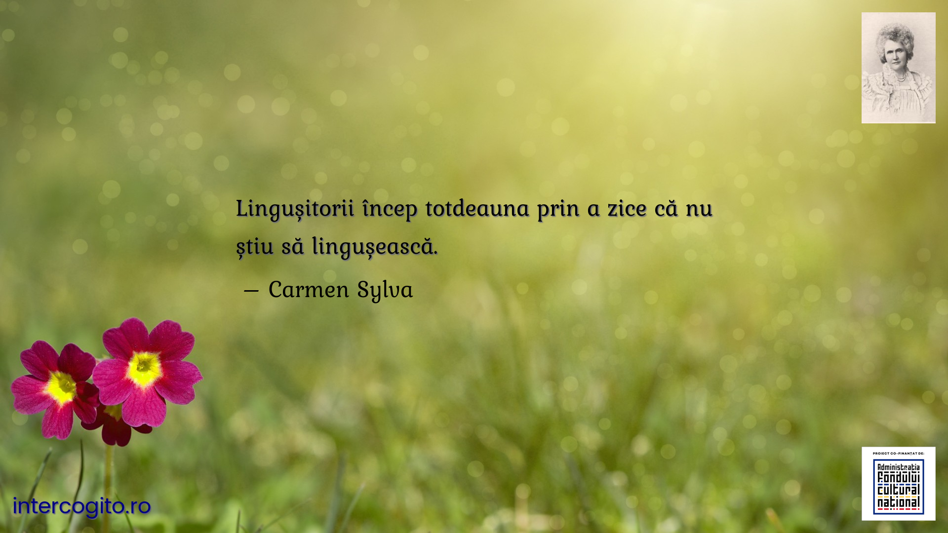 Lingușitorii încep totdeauna prin a zice că nu știu să lingușească.