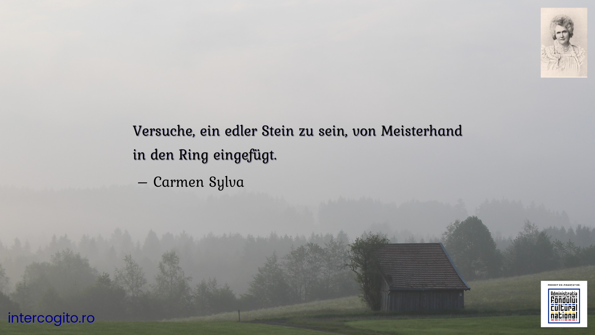 Versuche, ein edler Stein zu sein, von Meisterhand in den Ring eingefügt.