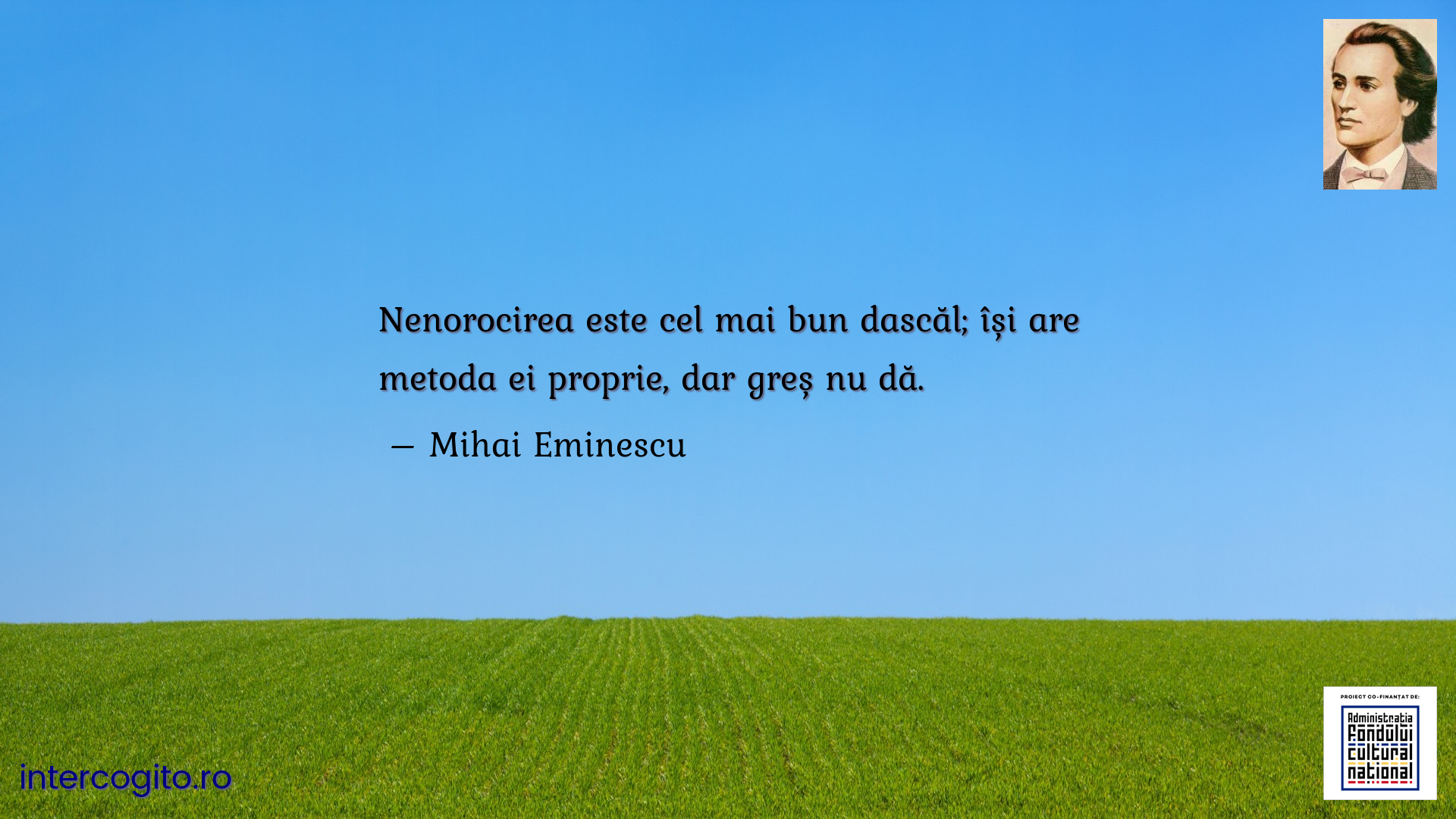 Nenorocirea este cel mai bun dascăl; își are metoda ei proprie, dar greș nu dă.