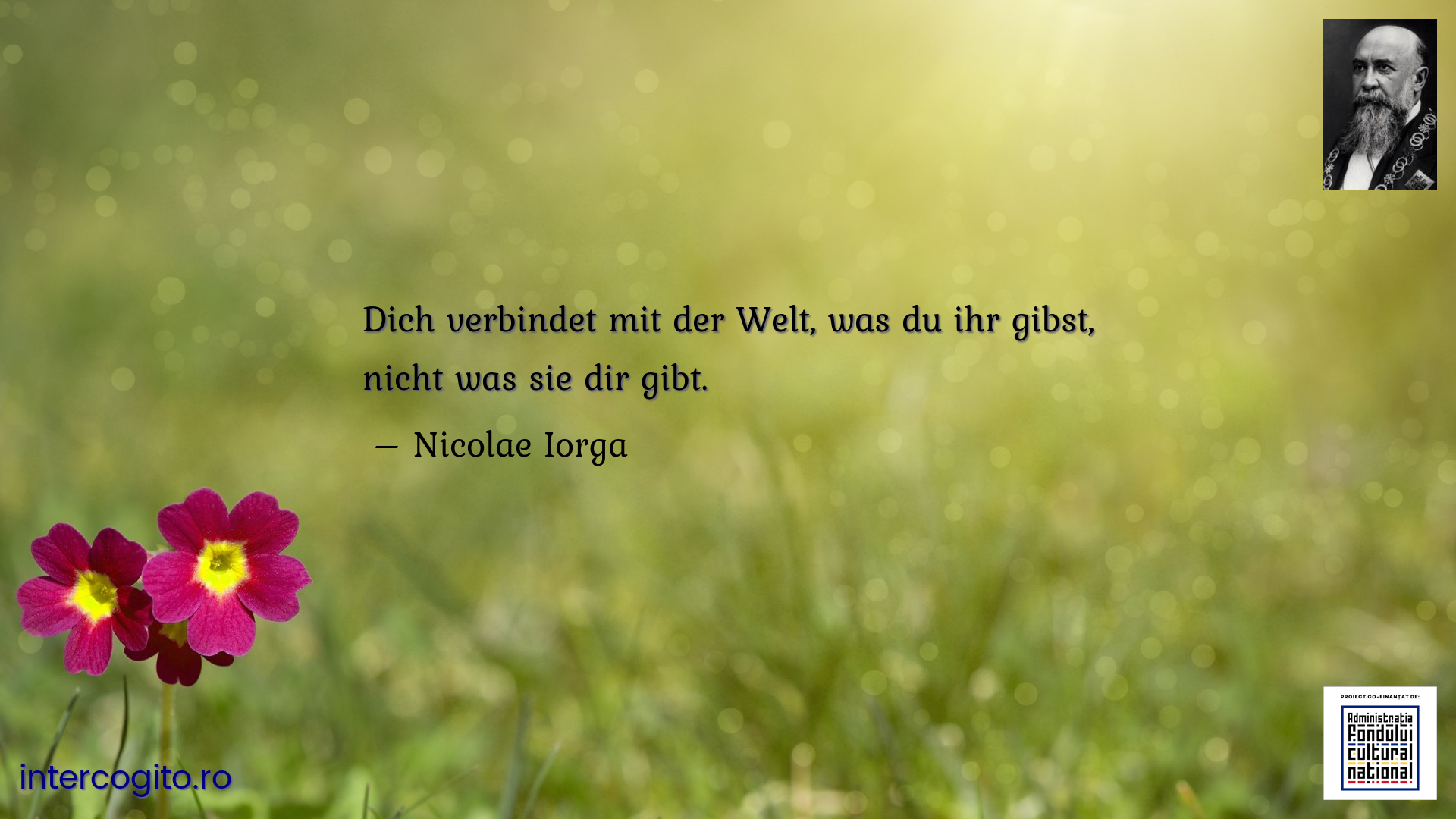 Dich verbindet mit der Welt, was du ihr gibst, nicht was sie dir gibt. 