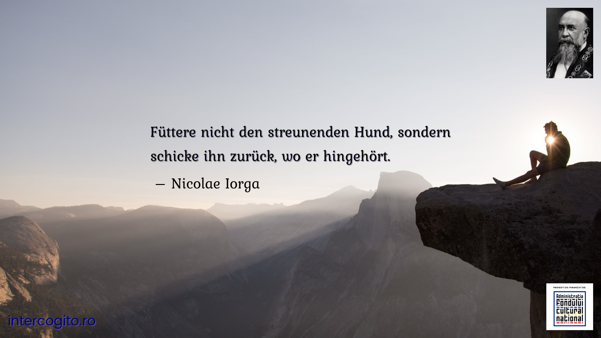 Füttere nicht den streunenden Hund, sondern schicke ihn zurück, wo er hingehört. 