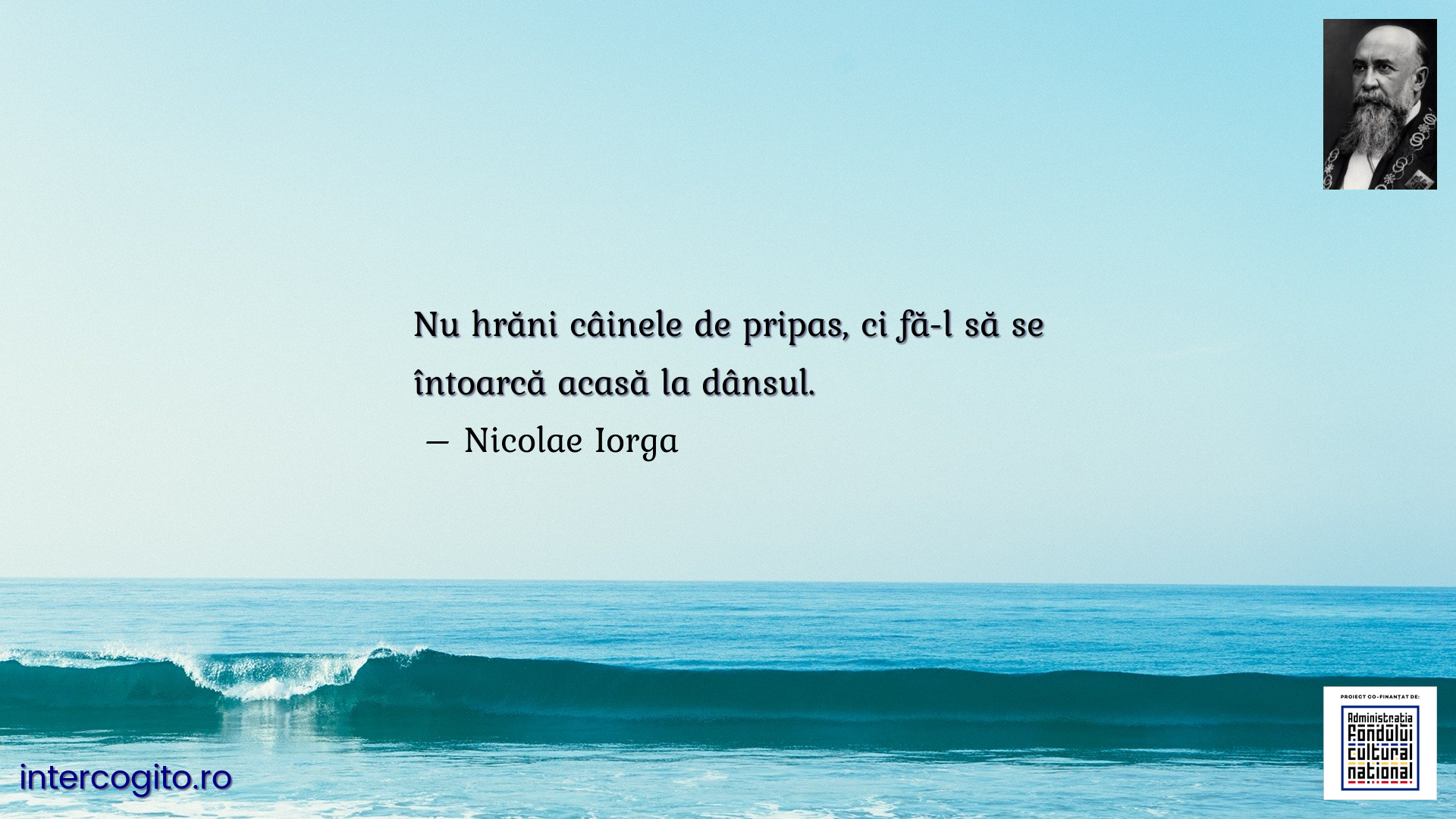 Nu hrăni câinele de pripas, ci fă-l să se întoarcă acasă la dânsul.