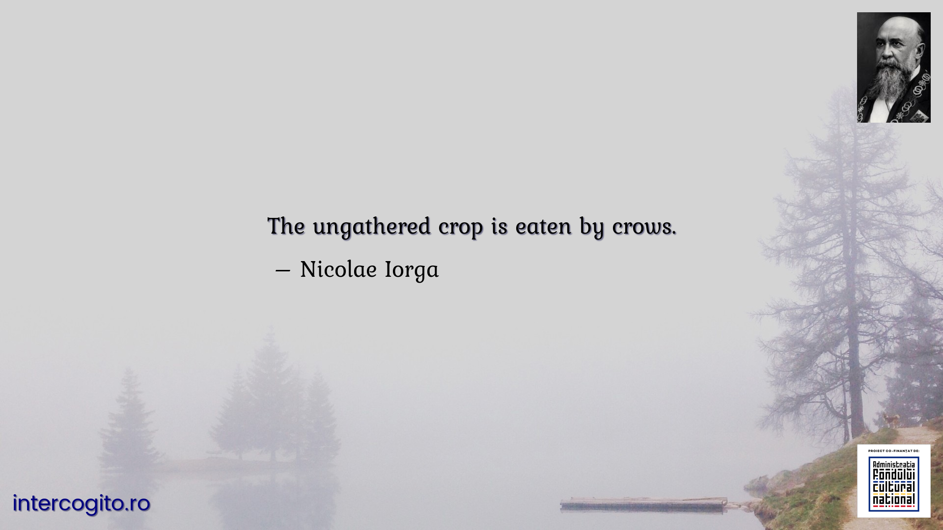 The ungathered crop is eaten by crows.