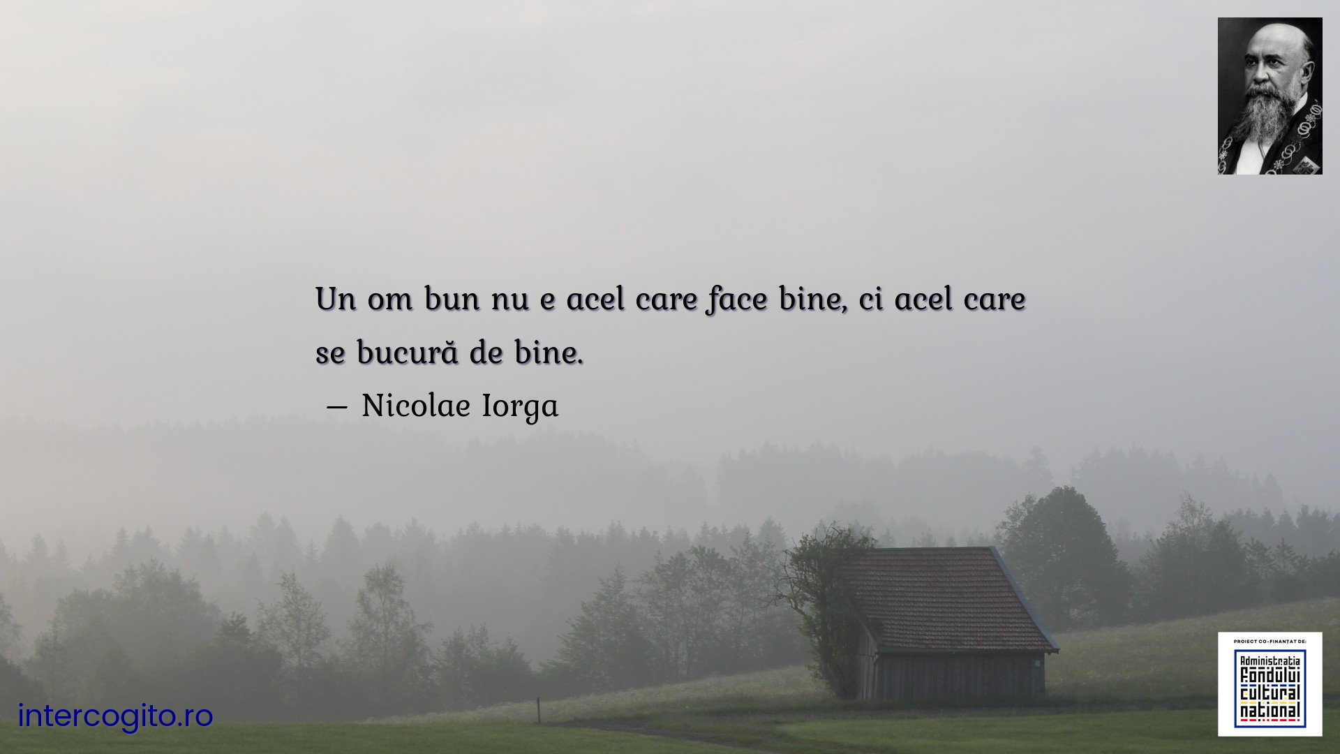 Un om bun nu e acel care face bine, ci acel care se bucură de bine.